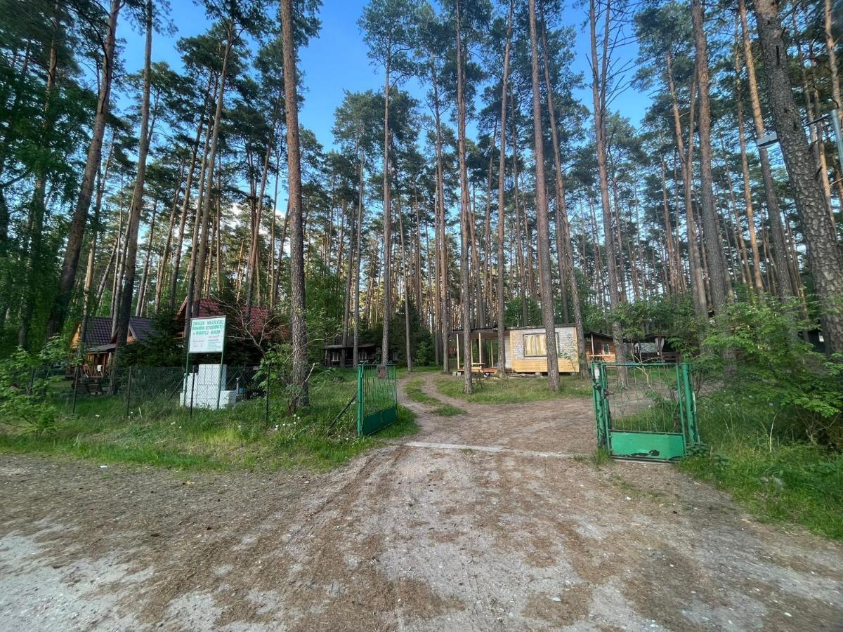 Domek Letniskowy Nad Jeziorem, Las, Mazury Wiartel Maly Esterno foto